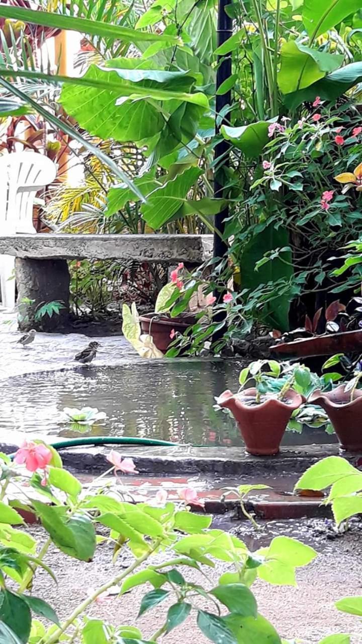 Pensión Brumar Río de Janeiro